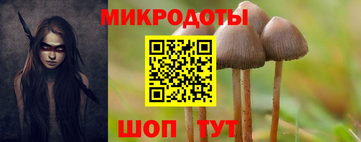Псилоцибиновые грибы Cubensis Кировск